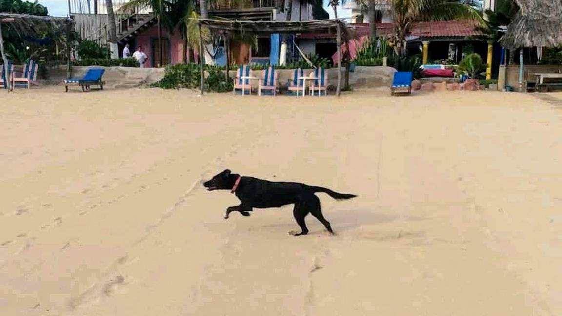 Photo of Others in Acapulco