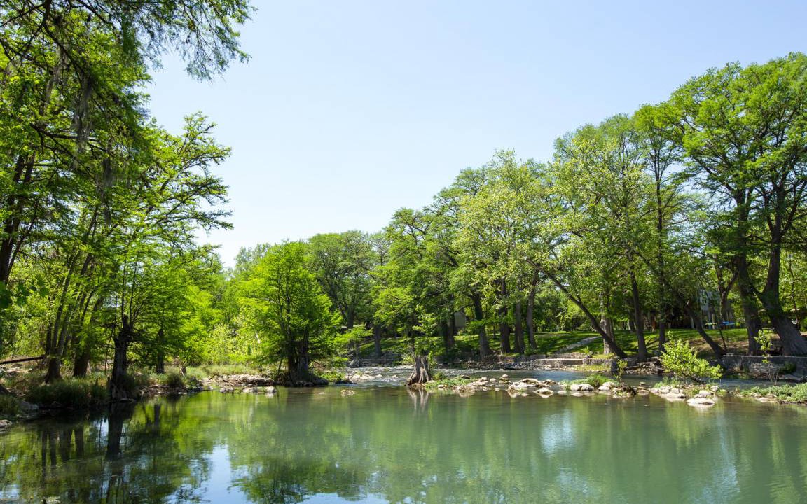 Photo of Others in Gruene
