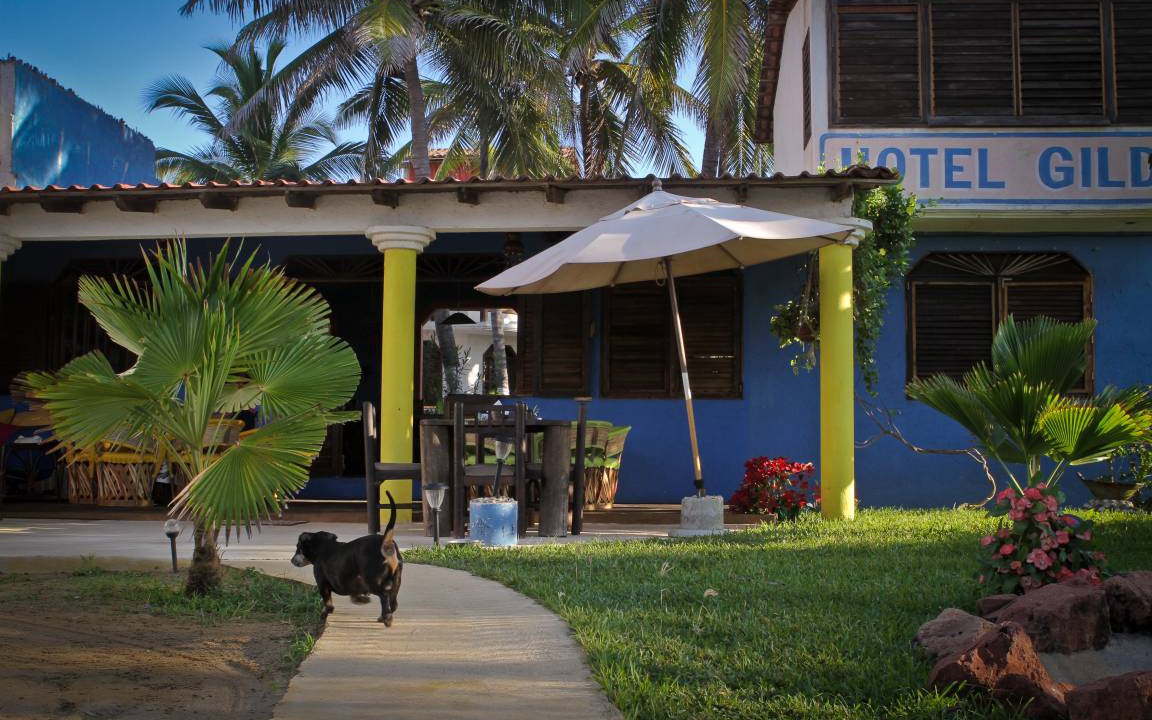 Photo of Others in Acapulco
