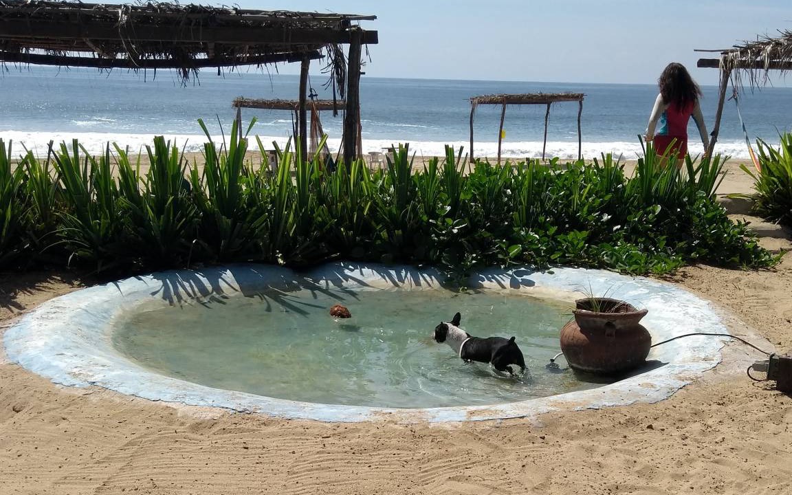 Photo of Others in Acapulco