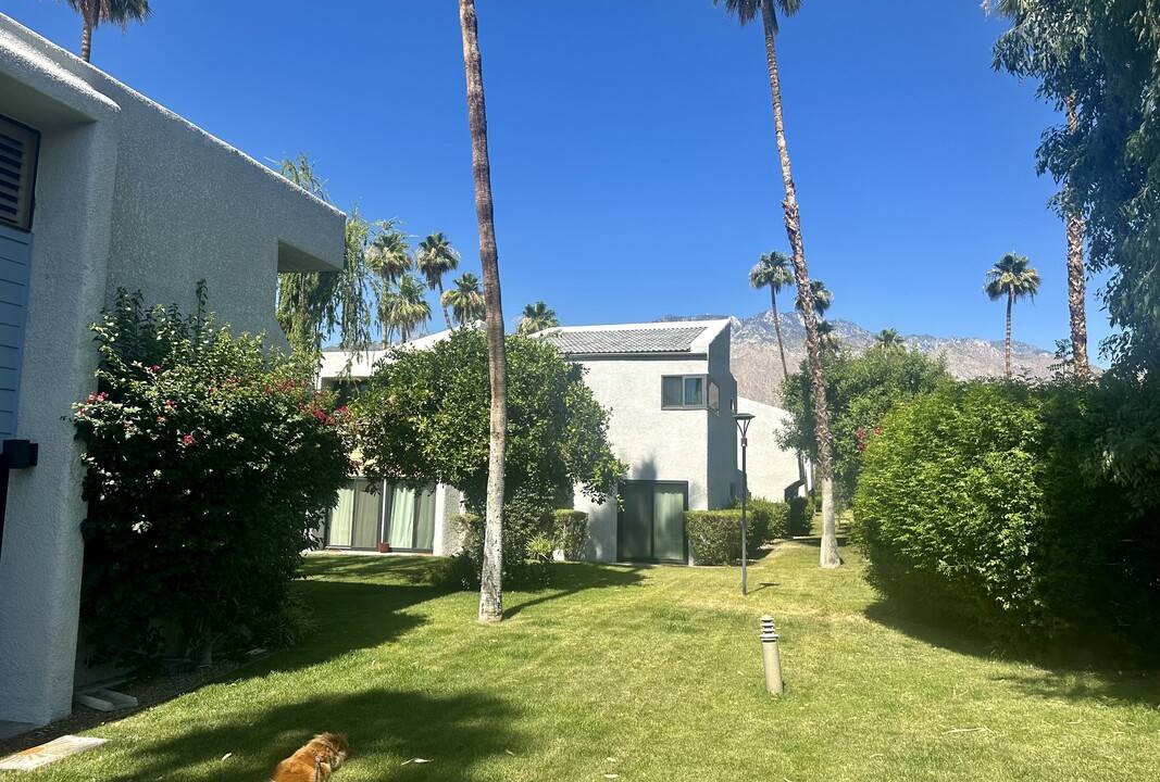 Photo of Others in Palm Springs