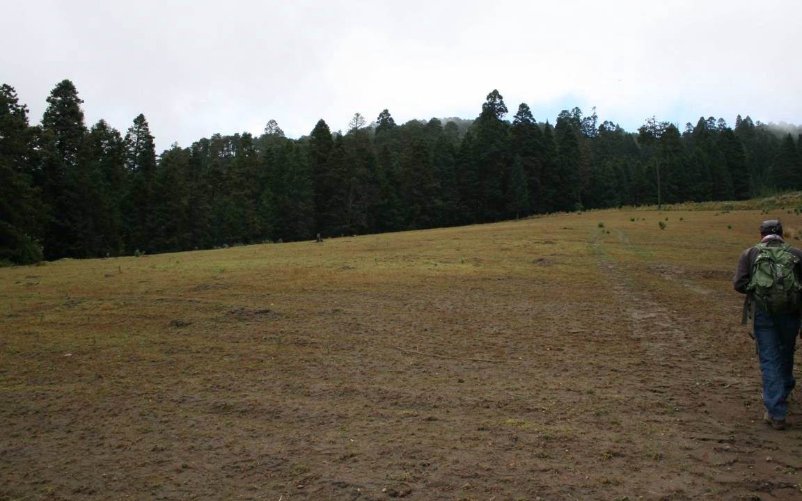 Photo of Others in Tlachichuca