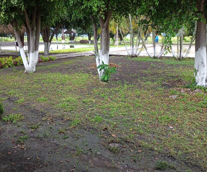 Photo of Outdoor in Tlaquiltenango