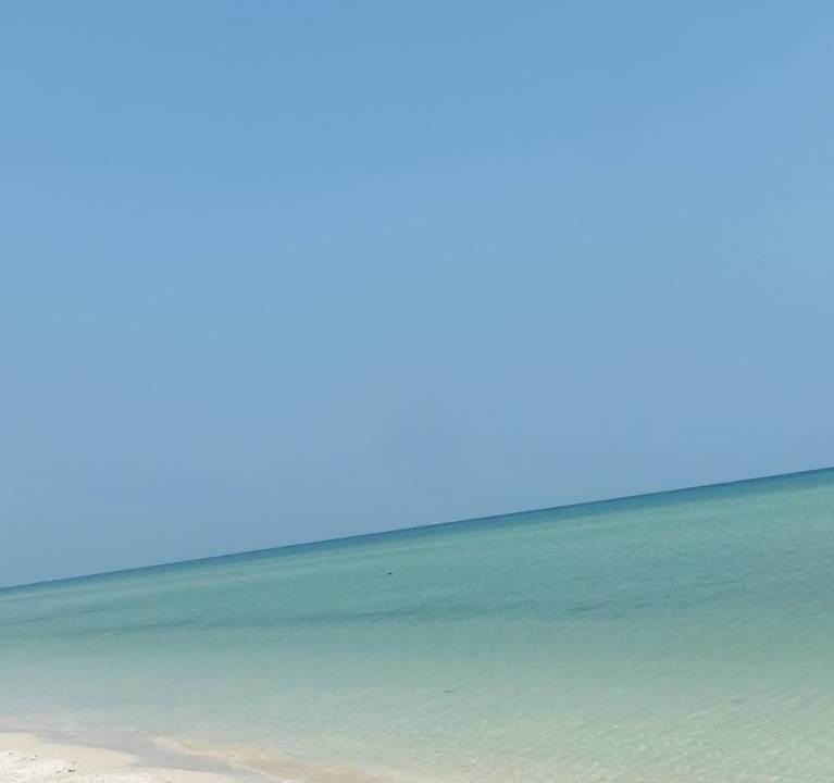Photo of Others in Chicxulub Puerto