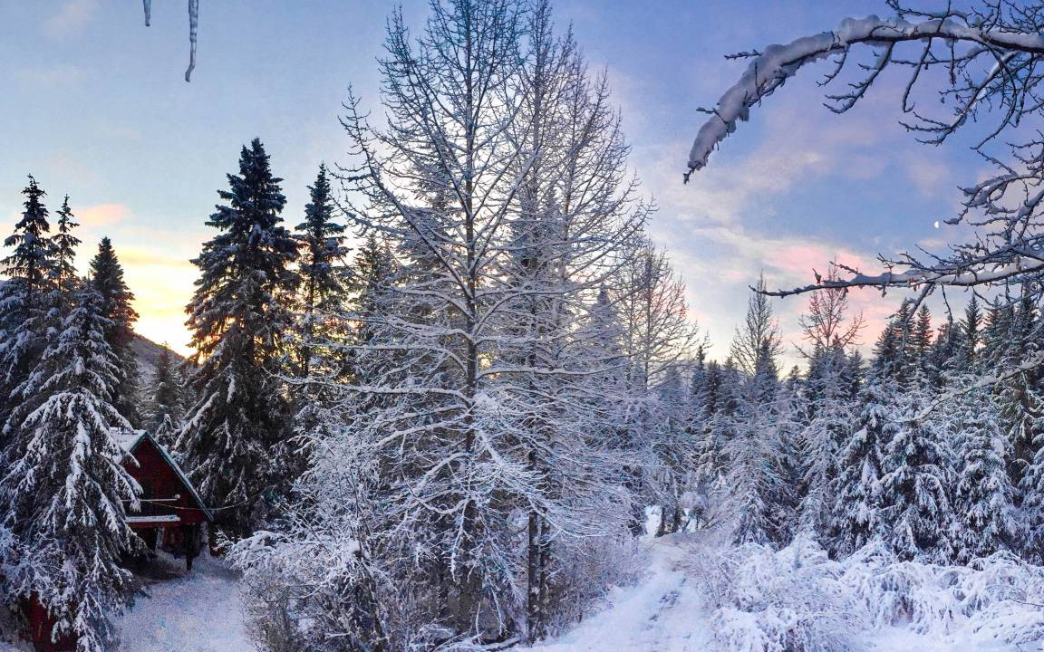 Photo of Others in Alyeska