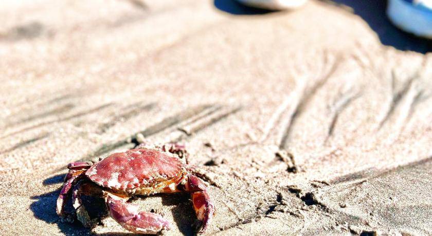 Photo of Others in Playas de Rosarito