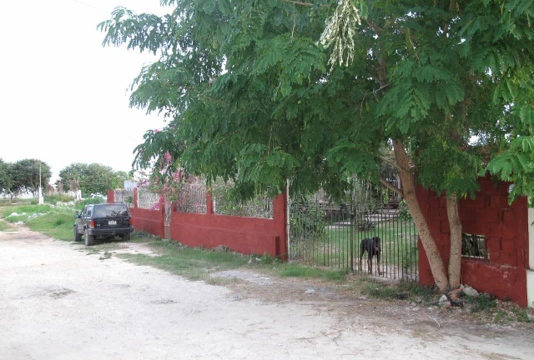 Photo of Others in Merida