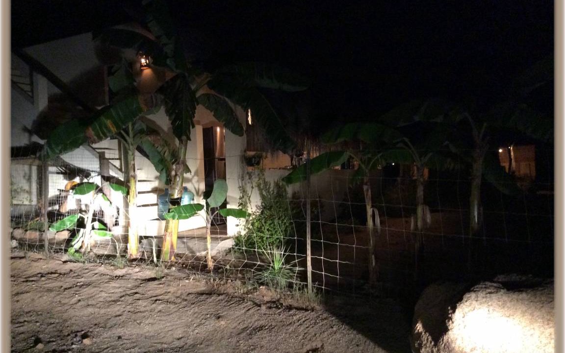 Photo of Others in Todos Santos