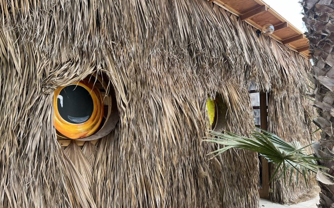 Photo of Others in Todos Santos