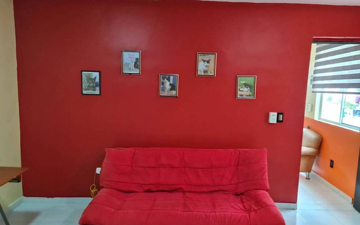 Photo of Others in Merida Municipality