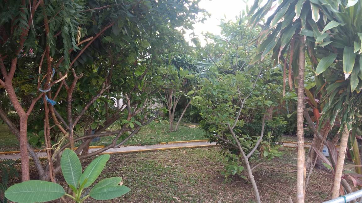 Photo of Others in Jimenez