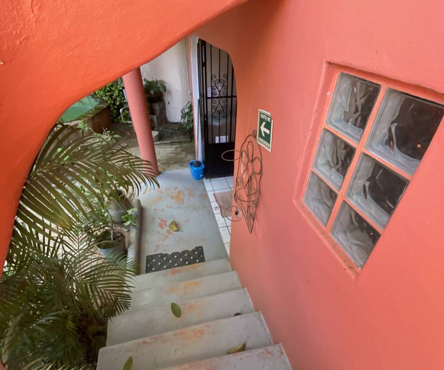 Photo of Others in Sayulita
