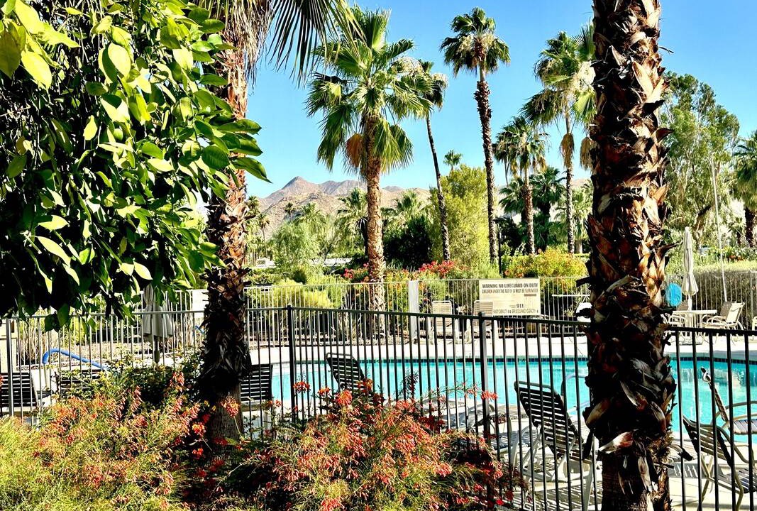 Photo of Others in Palm Springs