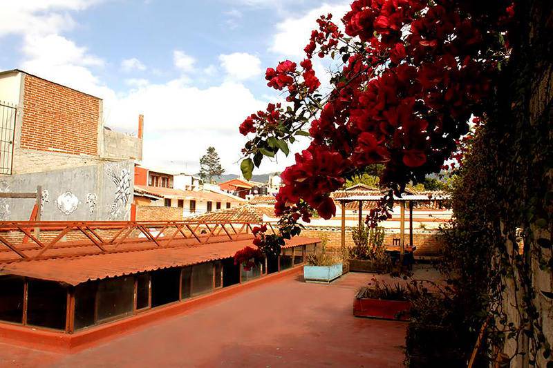 Photo of Others in Santa Lucia