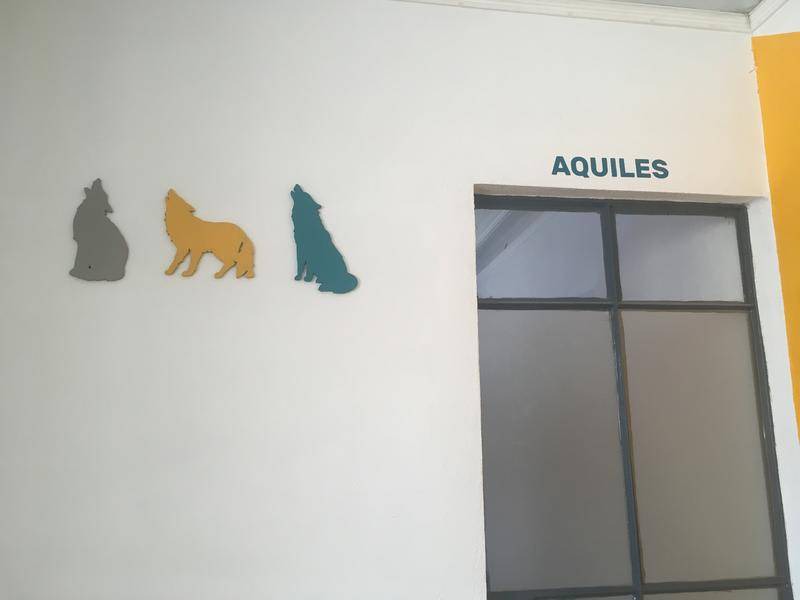 Photo of Others in Downtown Queretaro