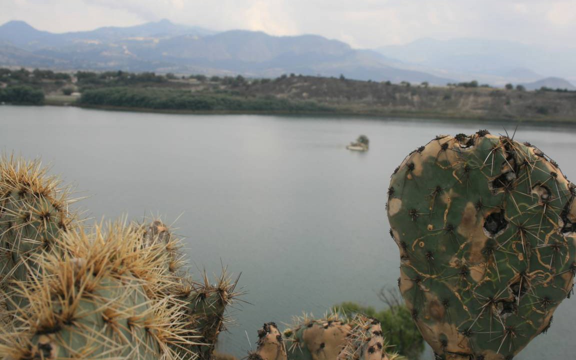 Photo of Others in Tlachichuca