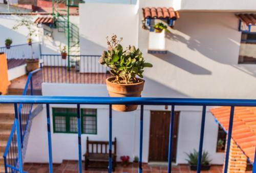 Photo of Patio Balcony in Guadalajara