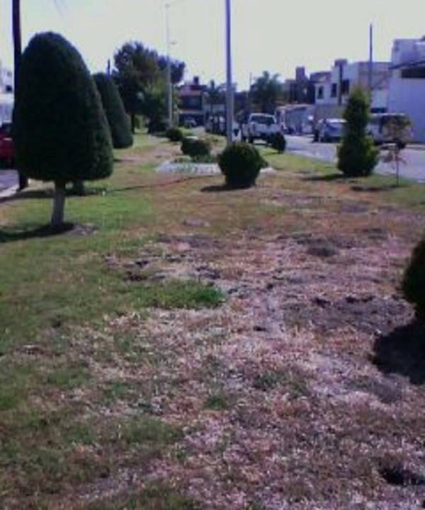 Photo of Outdoor in Pachuca