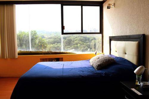 Photo of Others in Lomas de Guadalupe