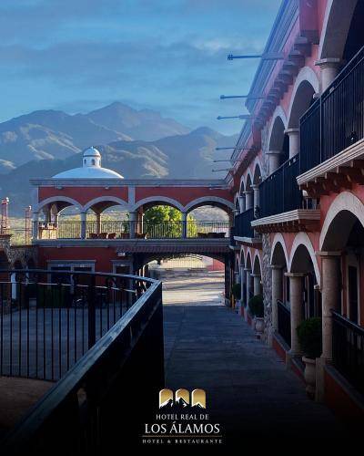 Photo of Others in Alamos