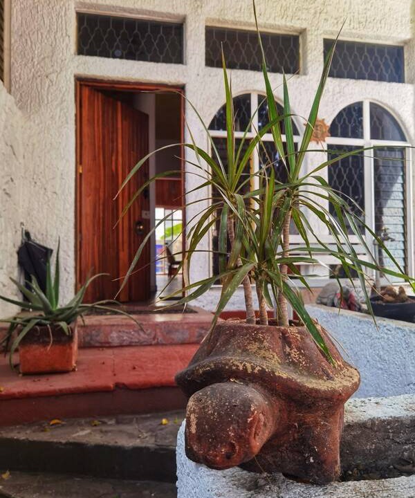 Photo of Others in Zapopan
