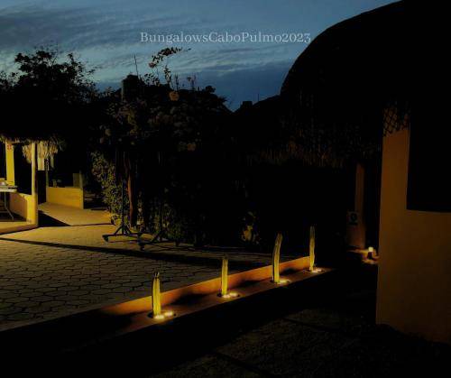 Photo of Others in Cabo Pulmo