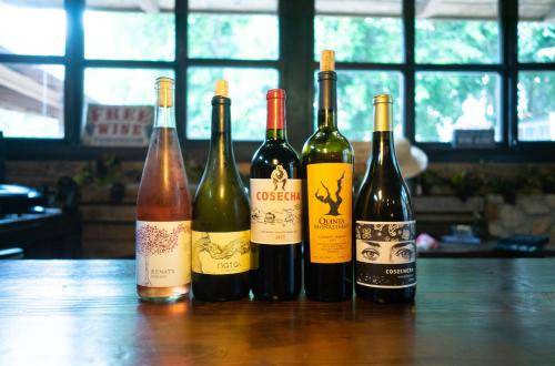 Photo of Others in Valle de Guadalupe