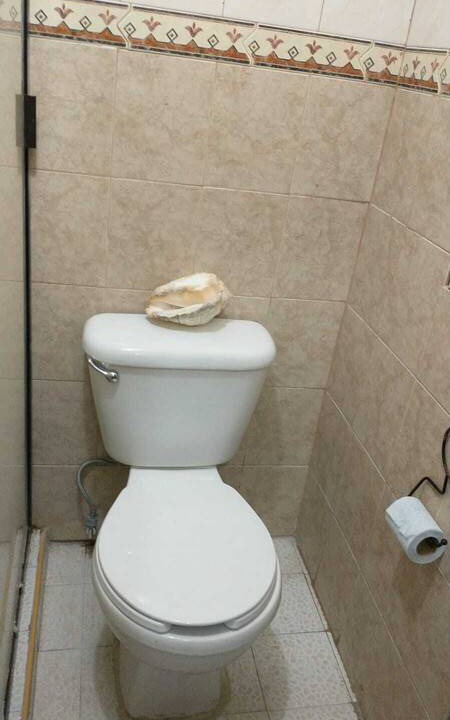 Photo of Bathroom in La Paz