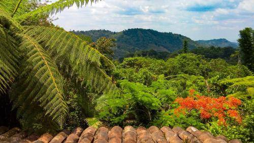 Photo of Outdoor in Cuetzalan del Progreso