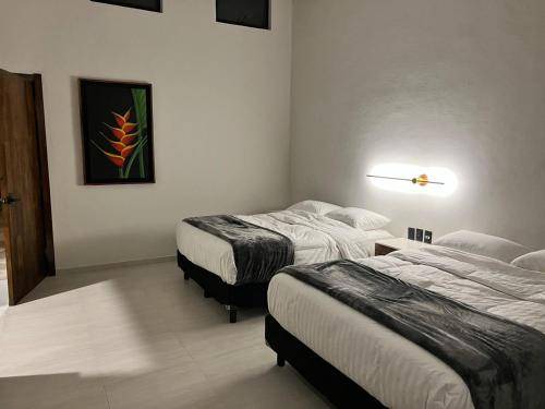 Photo of Bedroom in Tepic