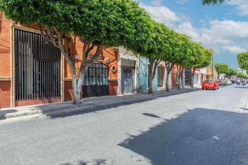 Photo of Others in Leon Centro