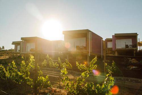 Photo of Buildings in Valle de Guadalupe