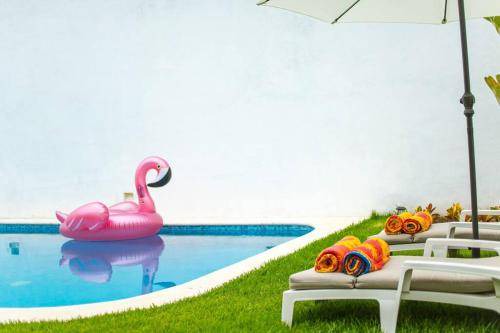 Photo of Others in Puerto Vallarta