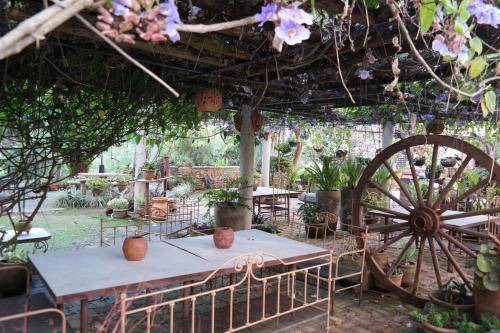 Photo of Patio Balcony in Tepic