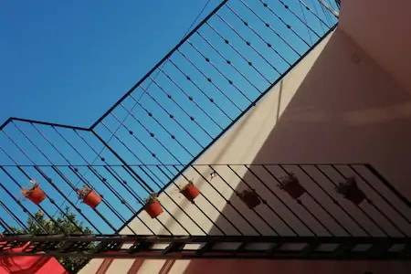 Photo of Others in Oaxaca