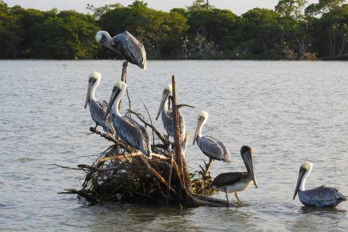 Photo of Others in Tecolutla Municipality