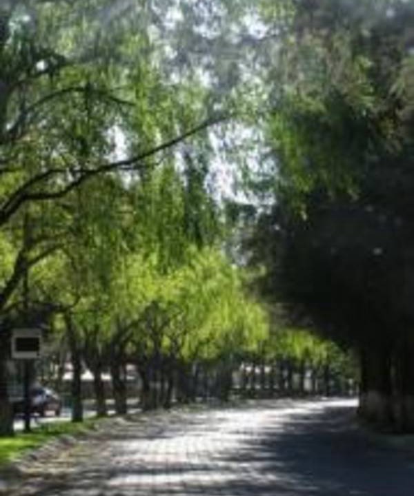 Photo of Others in Ciudad Lopez Mateos