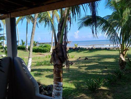 Photo of Others in Casitas