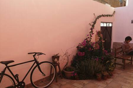 Photo of Others in Oaxaca