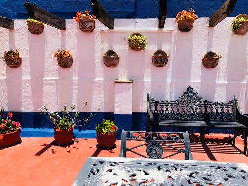 Photo of Others in Guanajuato