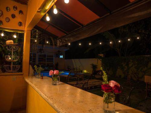 Photo of Others in Sayulita