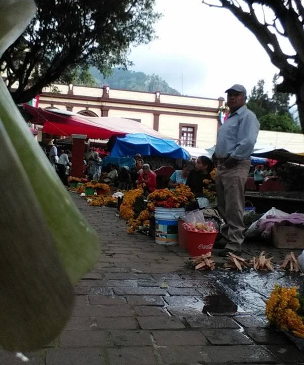 Photo of Others in Santo Domingo
