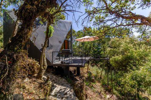 Photo of Others in Tepoztlan