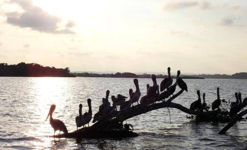 Photo of Others in Tecolutla Municipality