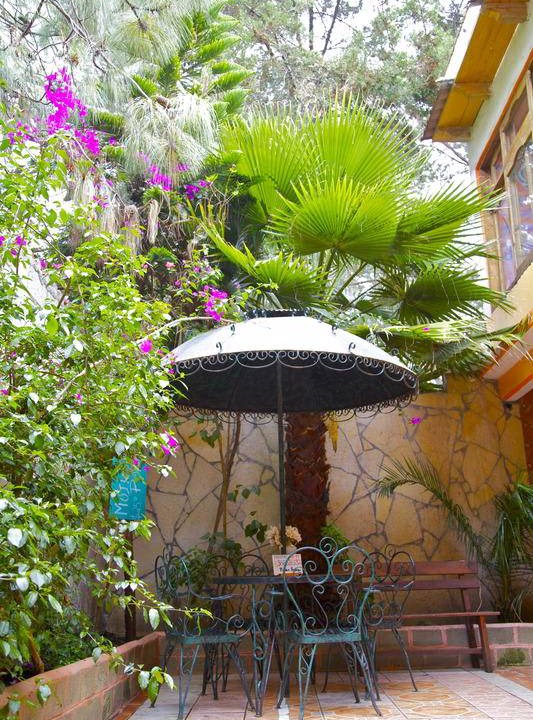 Photo of Others in Del Cerrillo