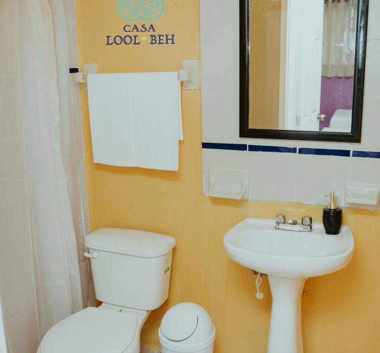 Photo of Bathroom in Centro