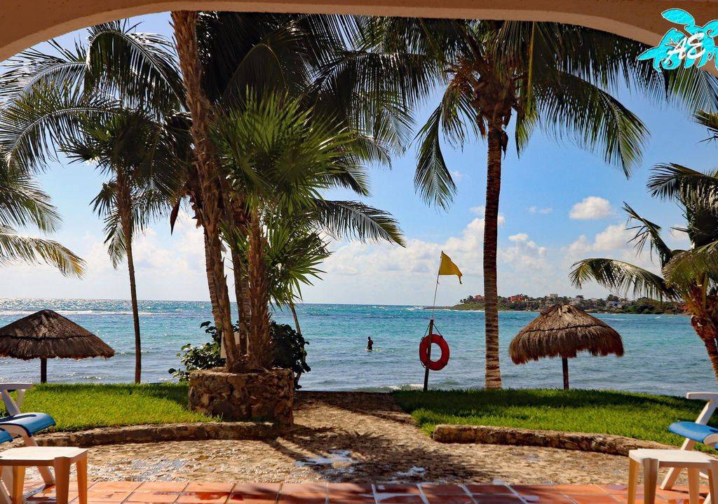 Photo of Outdoor in Akumal