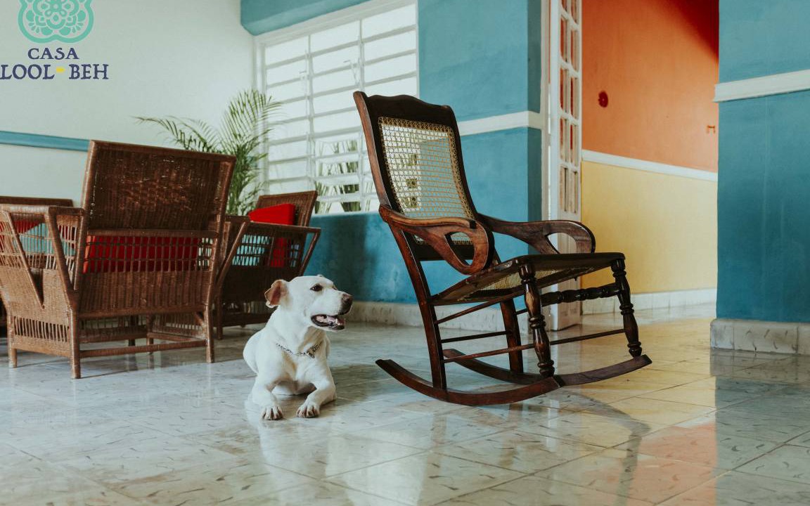 Photo of Livingroom in Centro