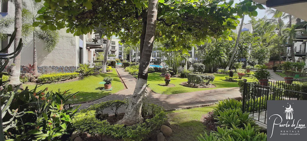 Photo of Others in Fluvial Vallarta