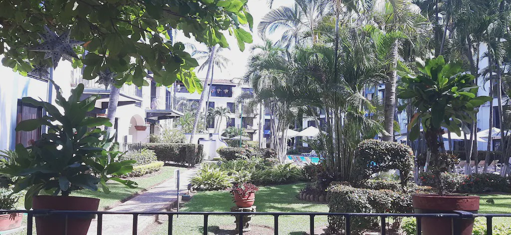 Photo of Others in Fluvial Vallarta